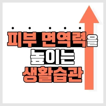 면역력 높이는 하루 루틴과 시간대별 건강 습관_12