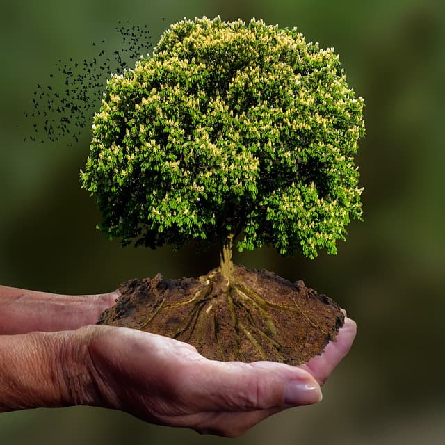 후설과 하이데거의 현상학 비교 – 의식에서 존재로 향한 철학의 전환