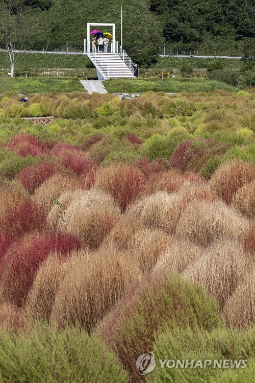 경기도 가을축제