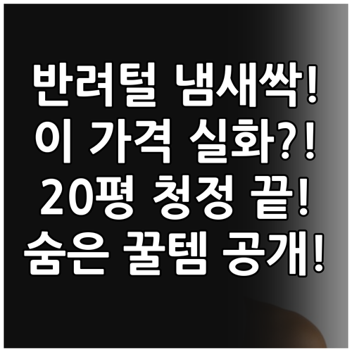 반려동물 털 냄새까지 잡는 초가성비 ..
