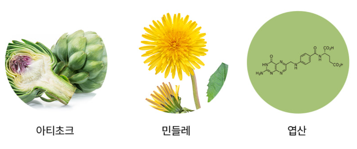 파란통 다이어트(맨올로지 컷) 원료