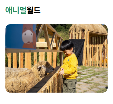 횡성한우축제