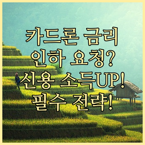 카드론 금리 인하 요구 성공을 위한 ..