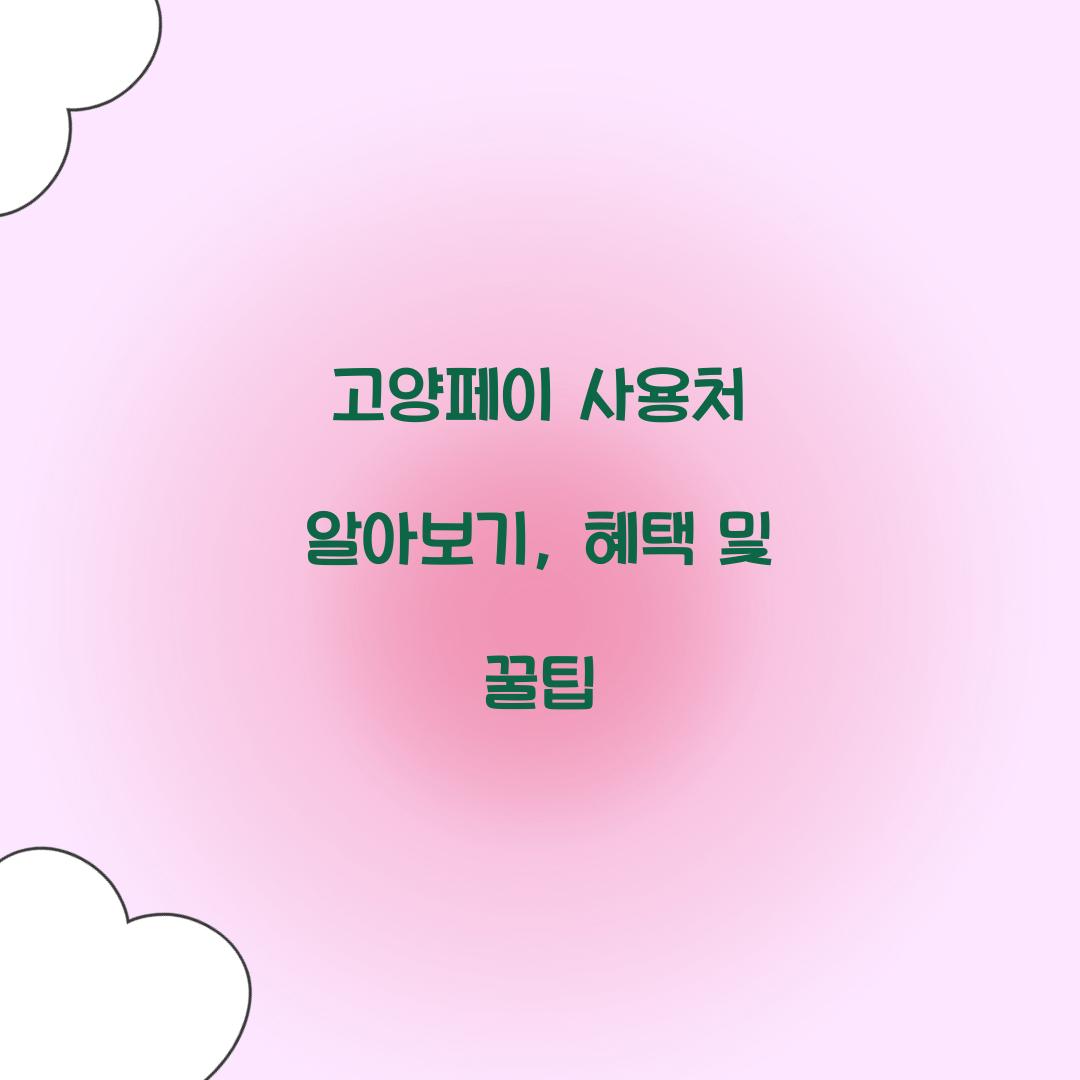 고양페이 사용처