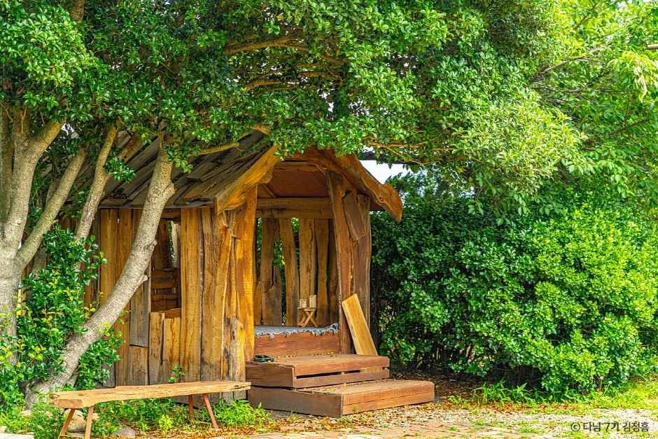 구례 천개의향나무숲