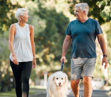 요양보호사 국비지원