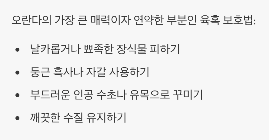 말랑한 육혹을 지켜주는 비결