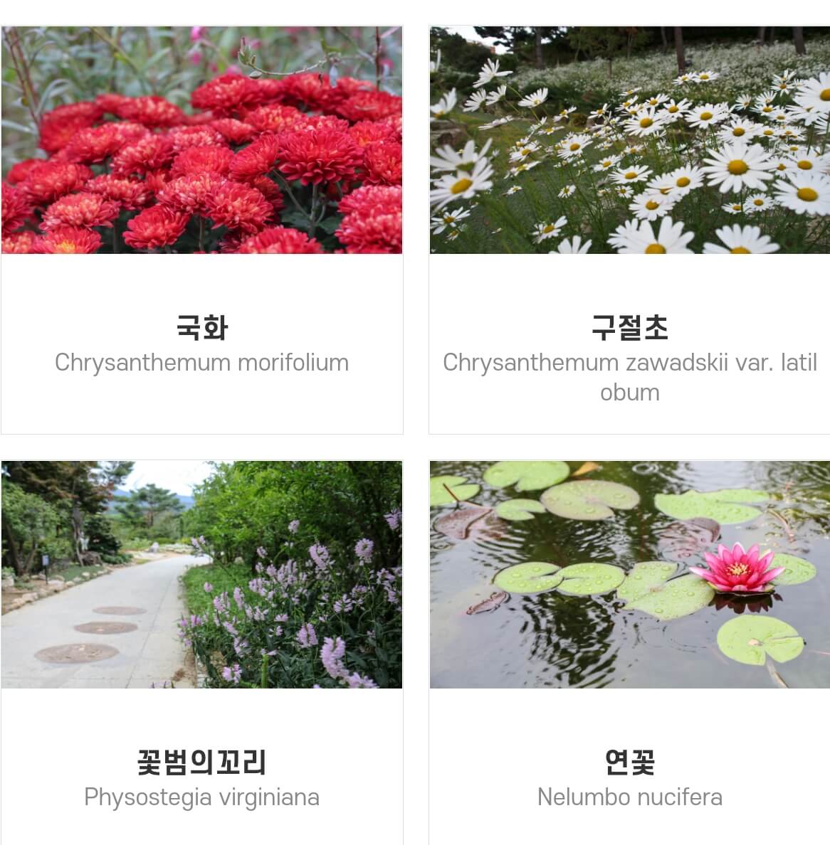 네이처파크 미라클 크리스마스 기본정보와 주차장,입장료를 알아봤습니다