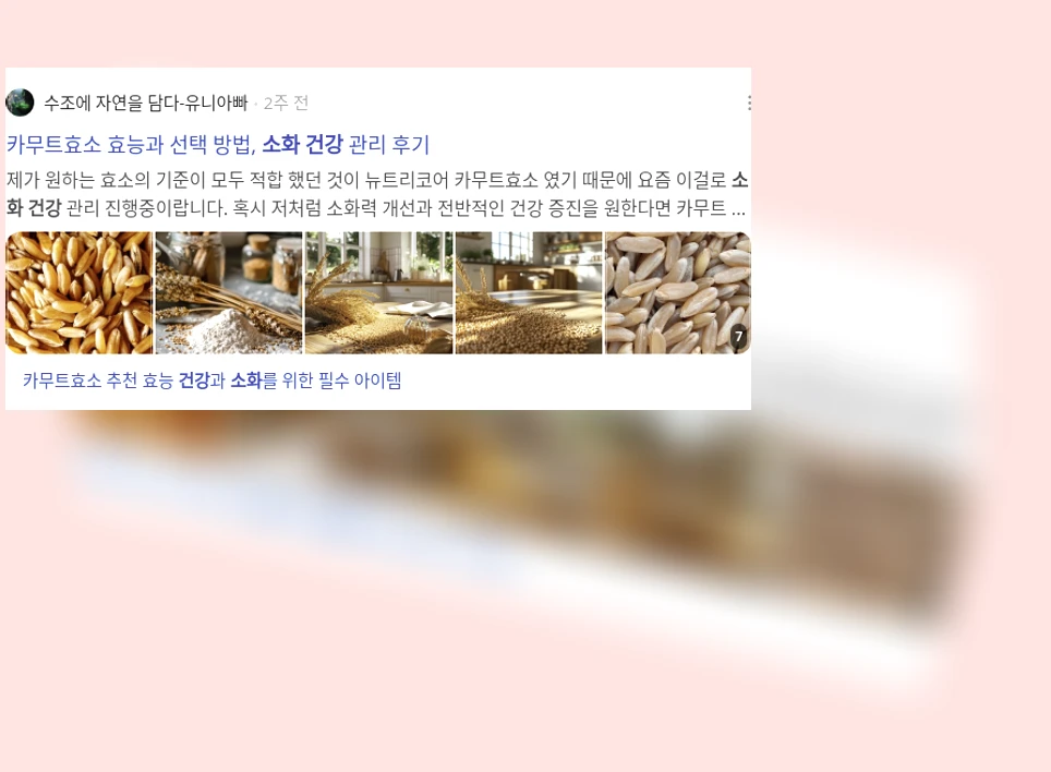 황련 효능_2_subsection