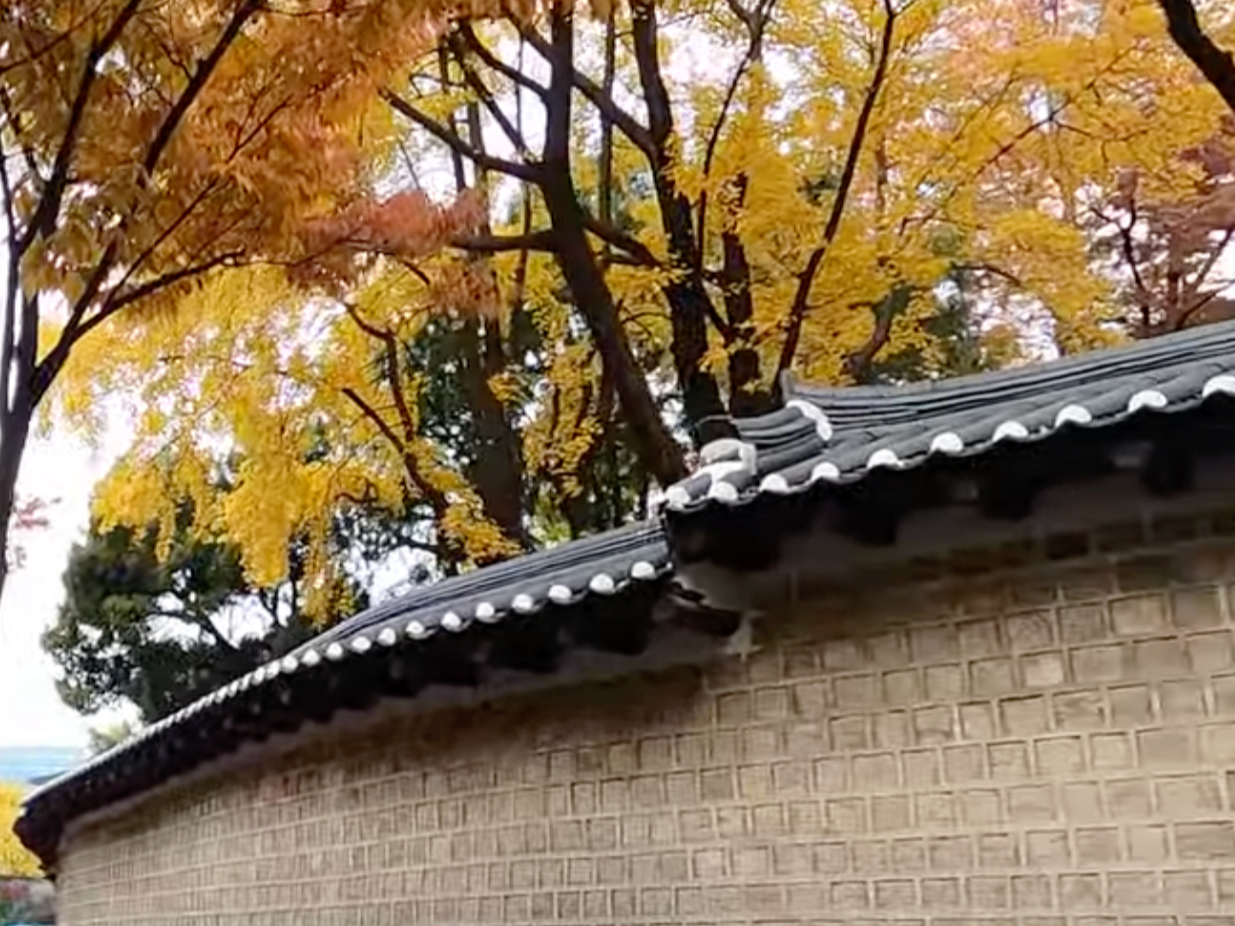 덕수궁 돌담길 사진