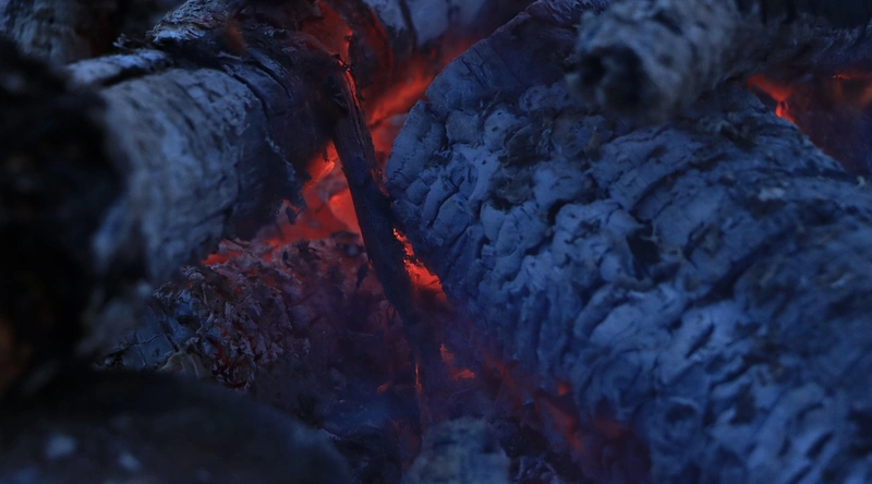 배선 계획 수립