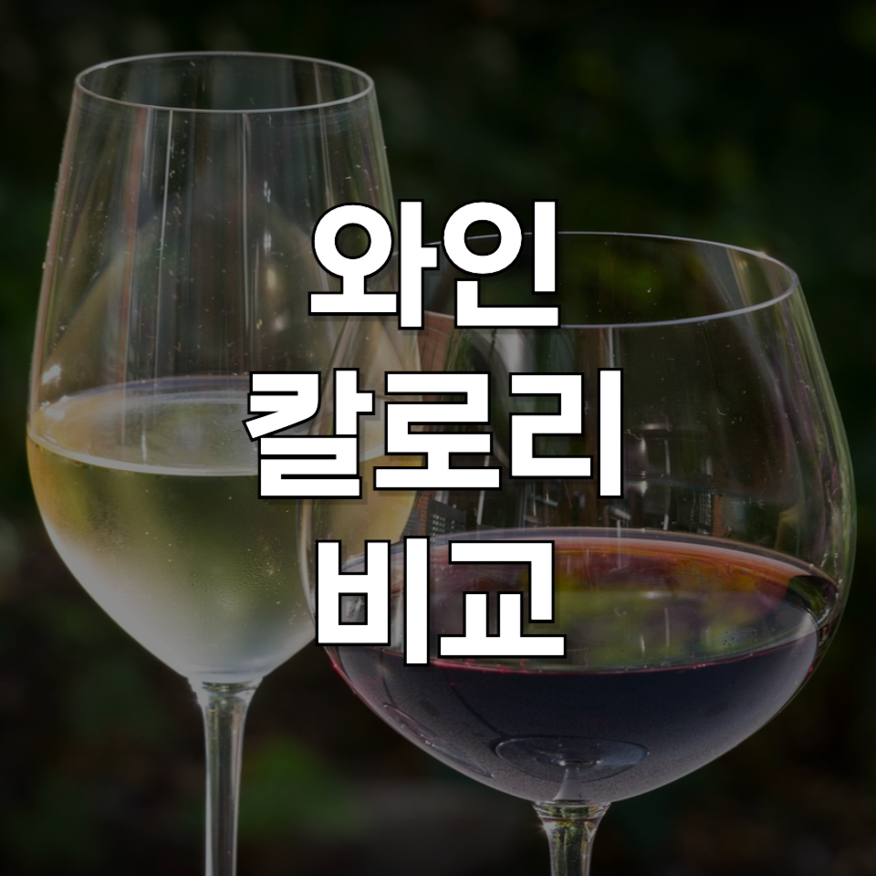 종류별 와인 칼로리! 다이어트 중에 마셔도 될까? 살 안찌게 와인 마시는 법