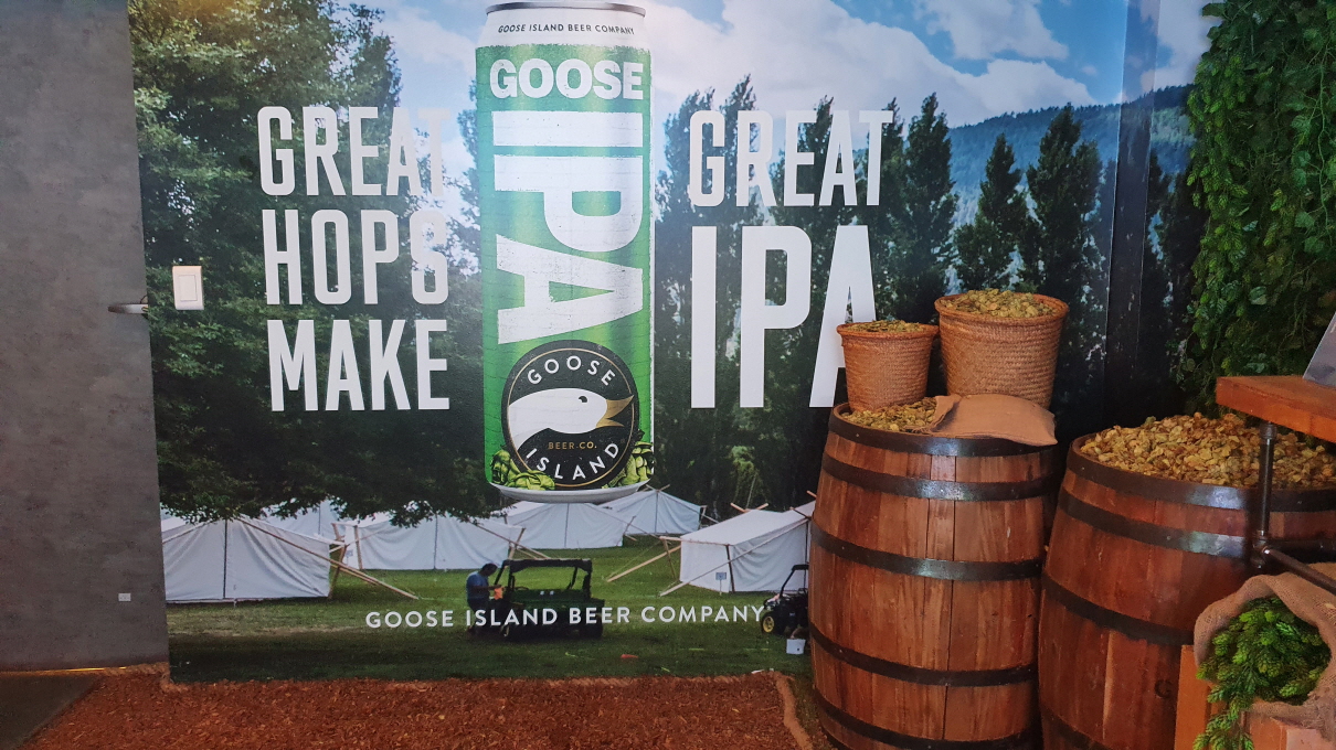 구스아일랜드-23