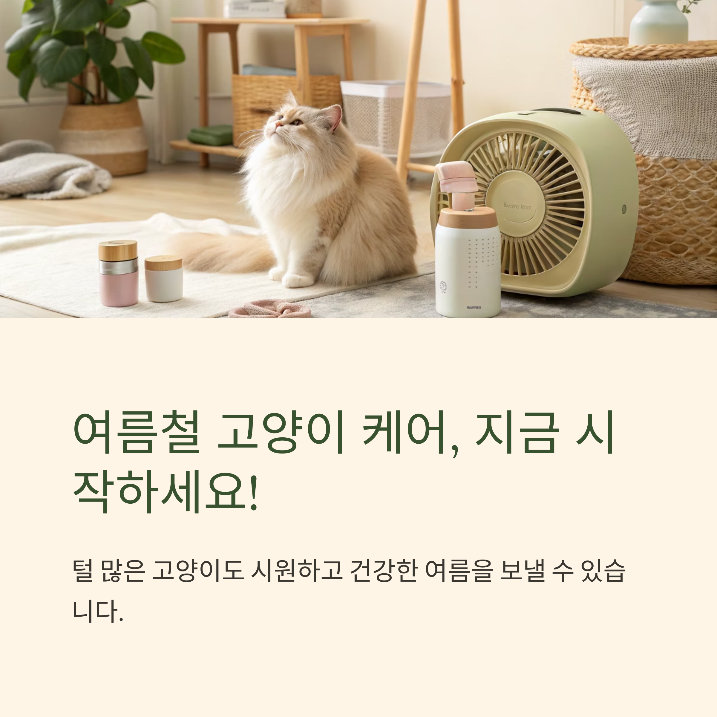 여름철 고양이 케어, 지금 시작하세요!