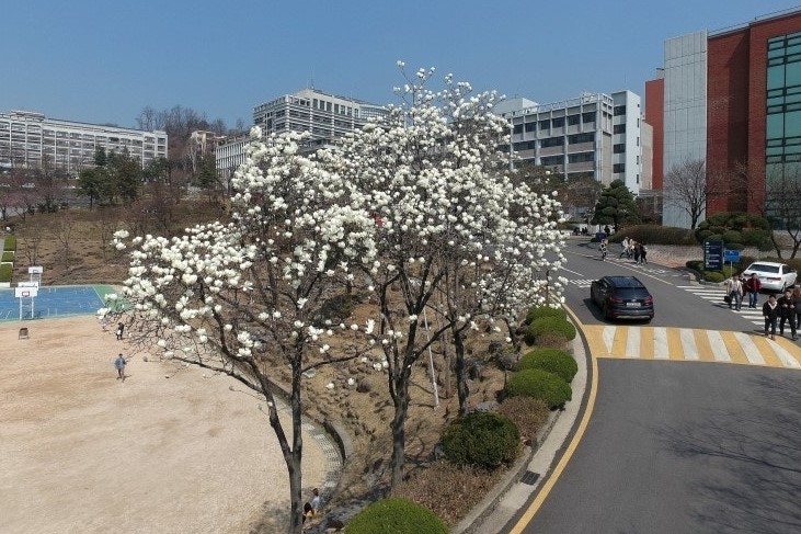 신청 절차 쉬운 대학 지원금 BEST 5 관련 사진자료