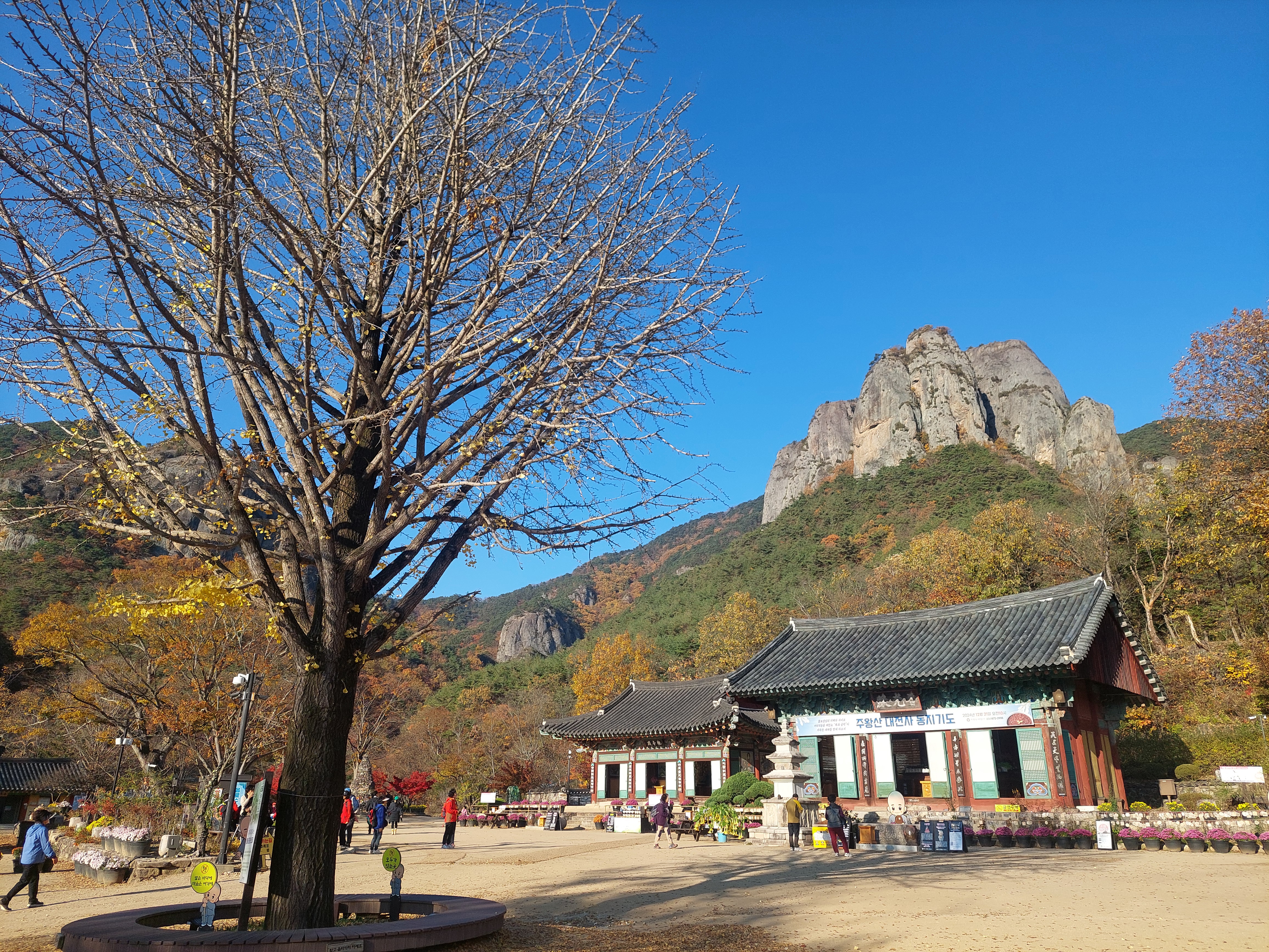 주왕산