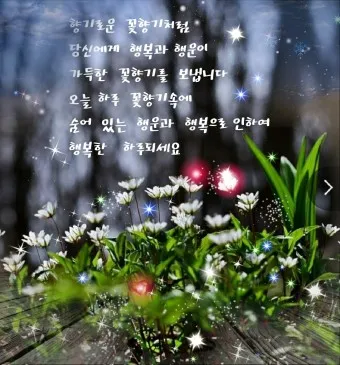 아침 인사말 일러스트 이미지 인사 문구_17