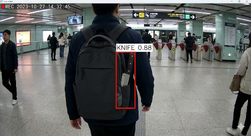 Realistic Detection Result Screenshot