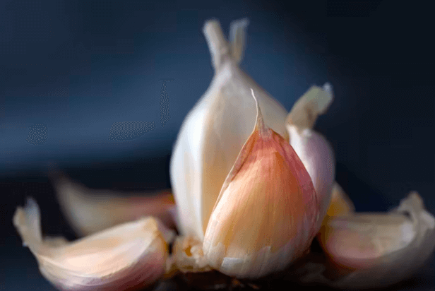 심혈관 건강 지키는 생마늘 섭취법