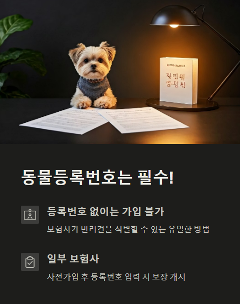 펫보험 가입시 동물등록번호는 필수