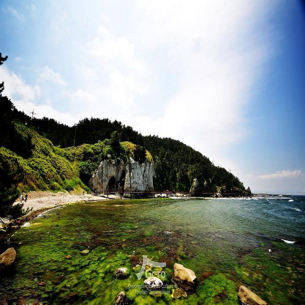 구룡포 해수욕장 바로가기