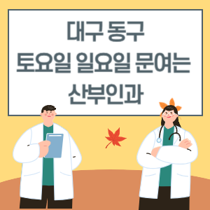 대구 동구 토요일 일요일 산부인과 진료 문여는 병원 리스트