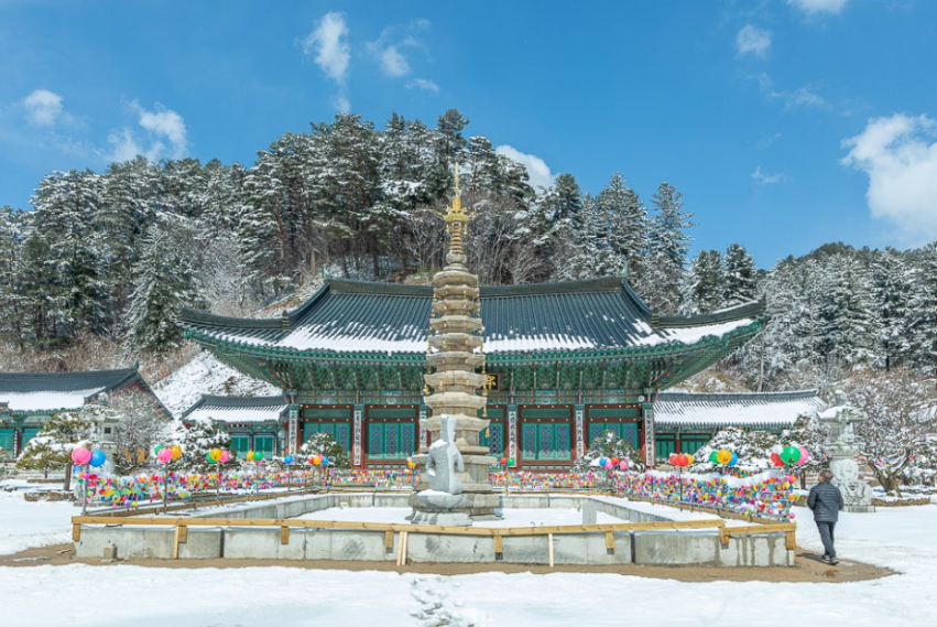 오대산 월정사전나무숲길 겨울1