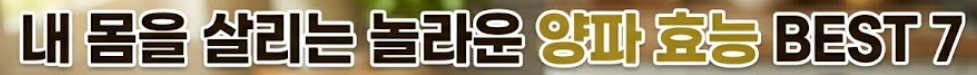 양파 효능
