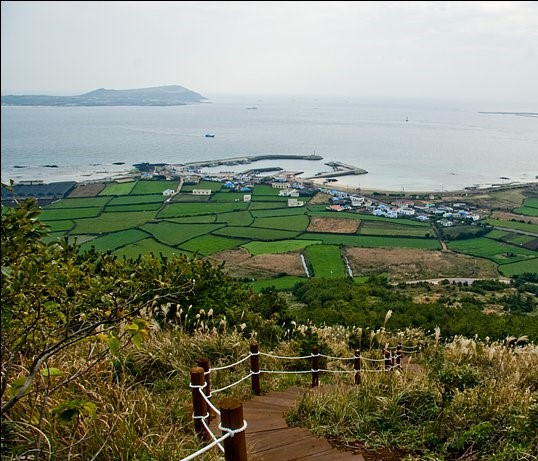 제주에 위치한 지미봉