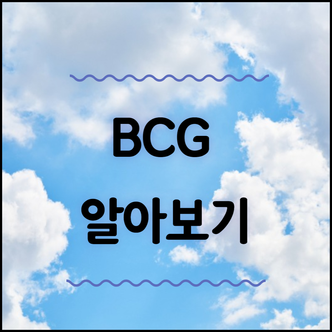 bcg 예방 접종 알아보기