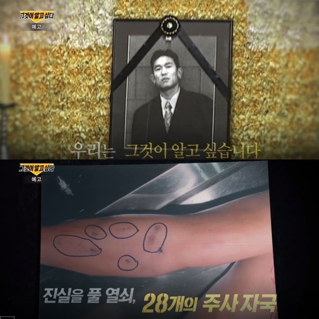 김성재 사망 사건, 그것이 알고 싶다 방송 캡처 이미지, 28개의 주사 자국
