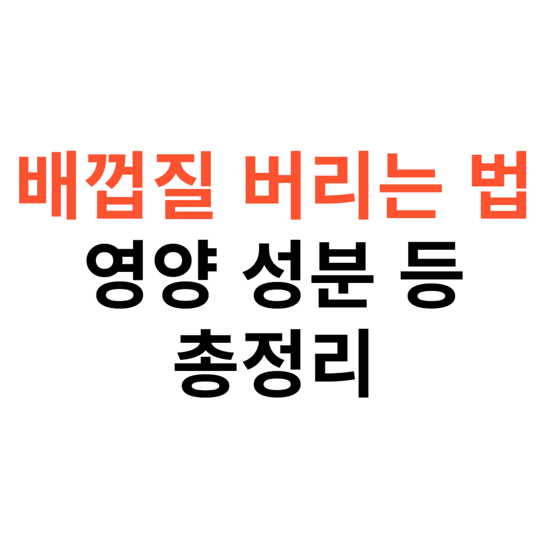 배껍질 버리는 방법