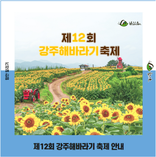 함안 강주 해바라기