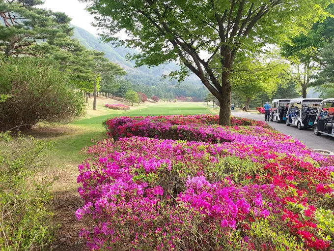 블루원 용인 컨트리클럽 골프장 소개 및 예약방법