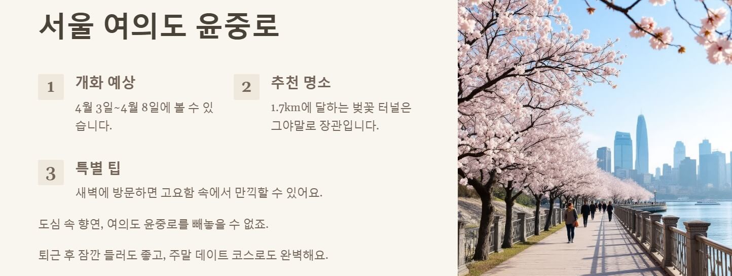 전국 벚꽃 명소 개화시기