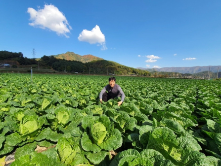 슬기로운 청년농부생활