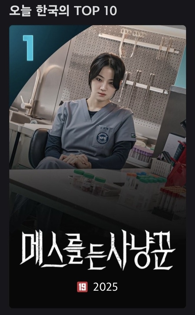 드라마 《메스를 든 사냥꾼》 원작 소설 줄거리 요약 및 핵심 분석