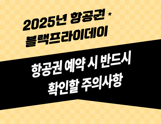 2025년 항공권 블랙프라이데이