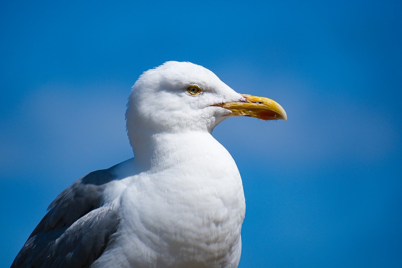특별한 능력을 가진 평범한 가족 영화 인크레더블 2