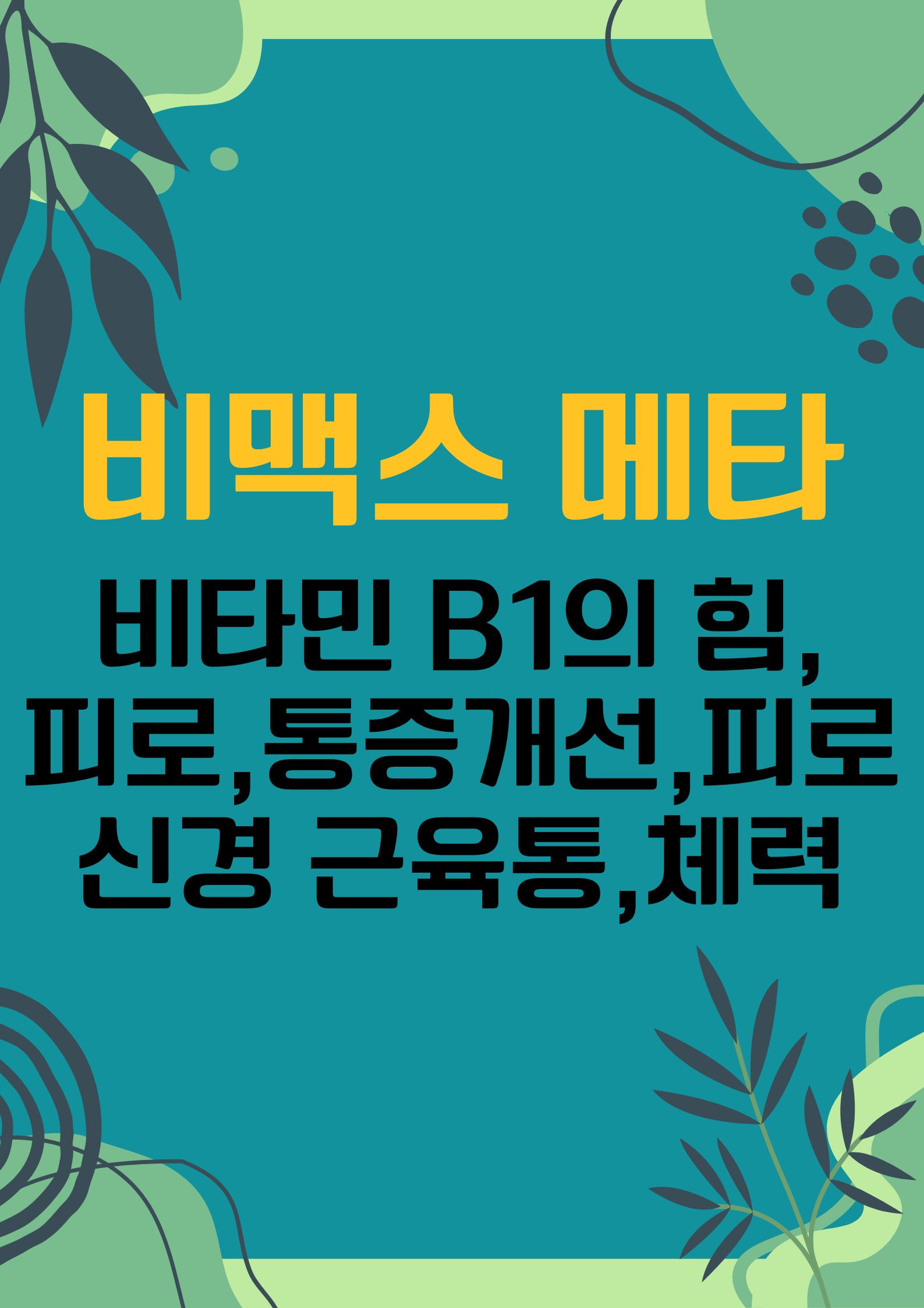 비맥스 메타 (비타민 B1의 힘,피로,통증 개선,신경과 근육 건강,체력 저하, 만성 피로 개선,,)