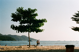 청년일자리도약일자리장려금