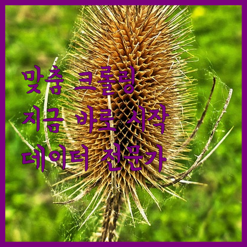 데이터 크롤링 전문가의 맞춤형 서비스