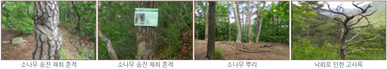 주왕산 등산코스
