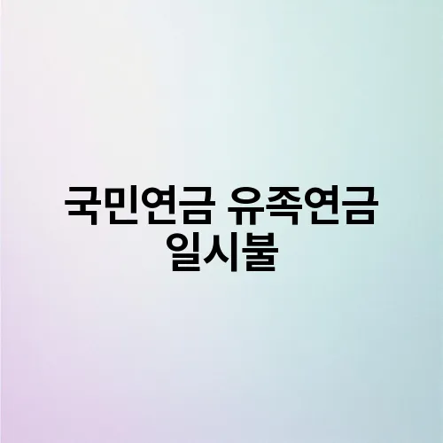 국민연금 유족연금 일시불