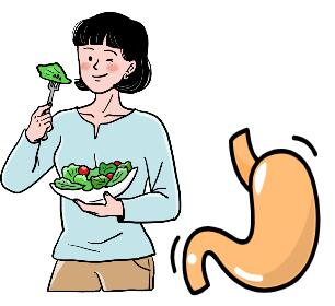 채소섭취