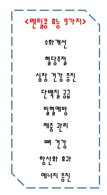 렌틸콩 효능 9가지
