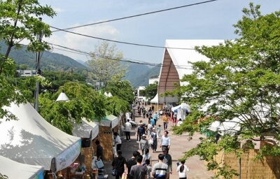 2024 하동 야생차문화축제 일정, 프로그램, 주차장