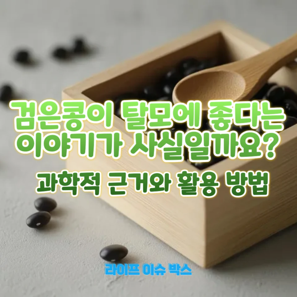 검은콩이 탈모에 좋은 이유, 사실일까?