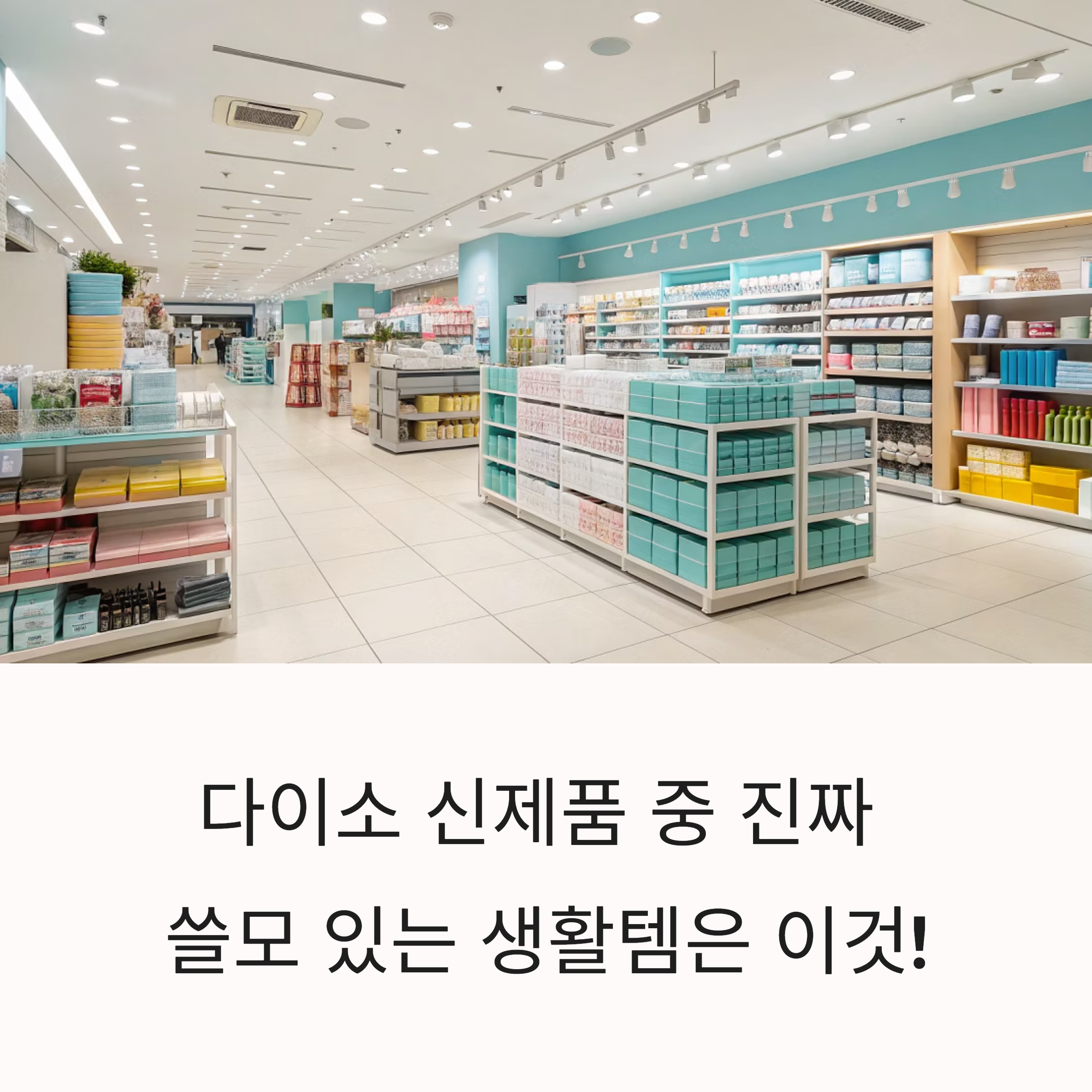 다이소 신제품 중 진짜 쓸모 있는 생활템