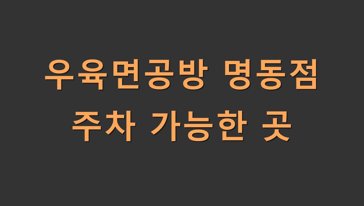 우육면공방 명동점 주차 가능한 곳
